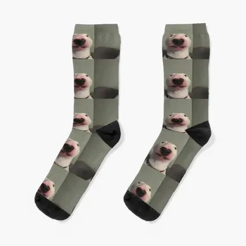 Летние подвижные чулки Walter The Dog Socks